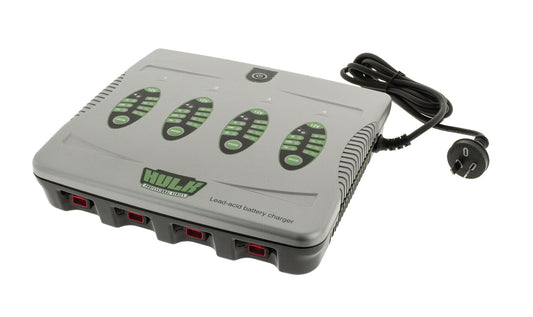 4 IN 1 BATTERY CHARGER 12V 5