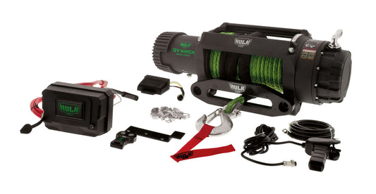 ELEC WINCH 12v PROFESSIONAL